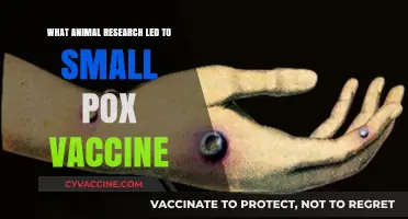 From Cows to Cure: Animal Research Behind the Smallpox Vaccine