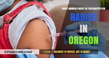 Oregon's Rabies Vaccination Requirements: Which Animals Need Protection?