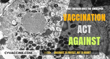 Smallpox Vaccination: Targeting the Variola Virus Antigen Explained