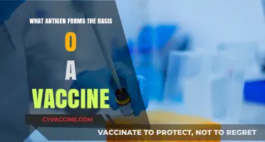 Understanding Vaccine Development: Key Antigens and Their Role in Immunity