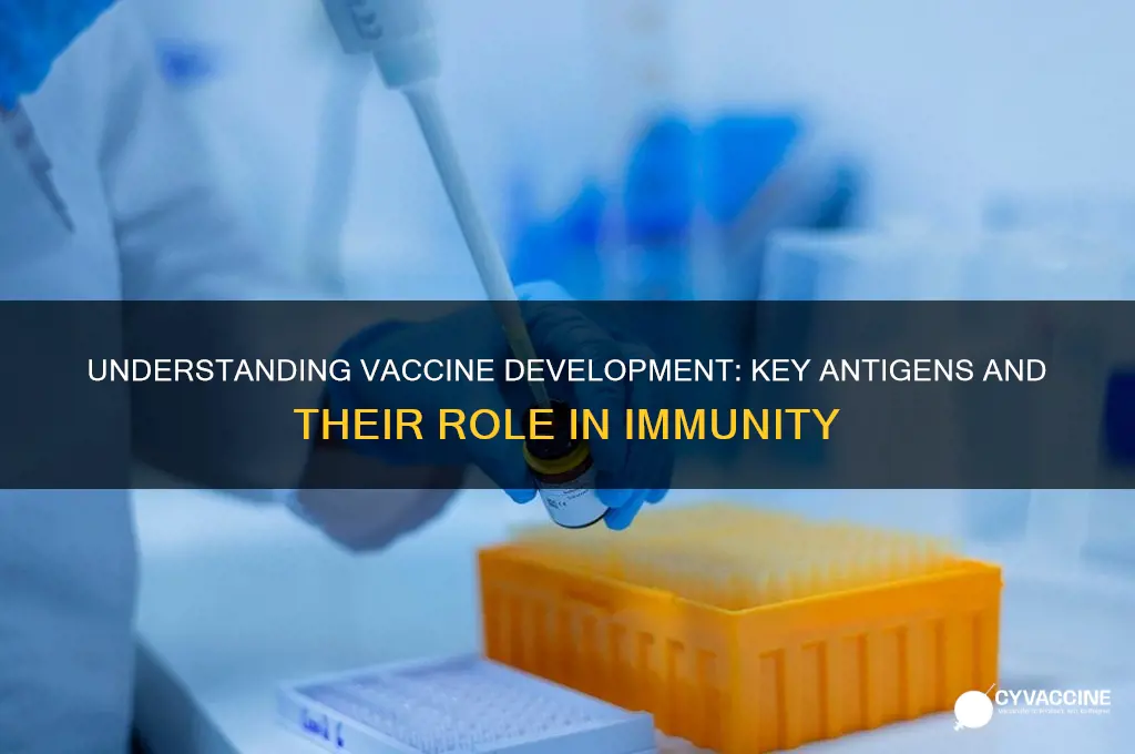 what antigen forms the basis o a vaccine
