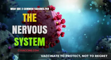 Protecting Your Nervous System: Two Essential Vaccines Explained