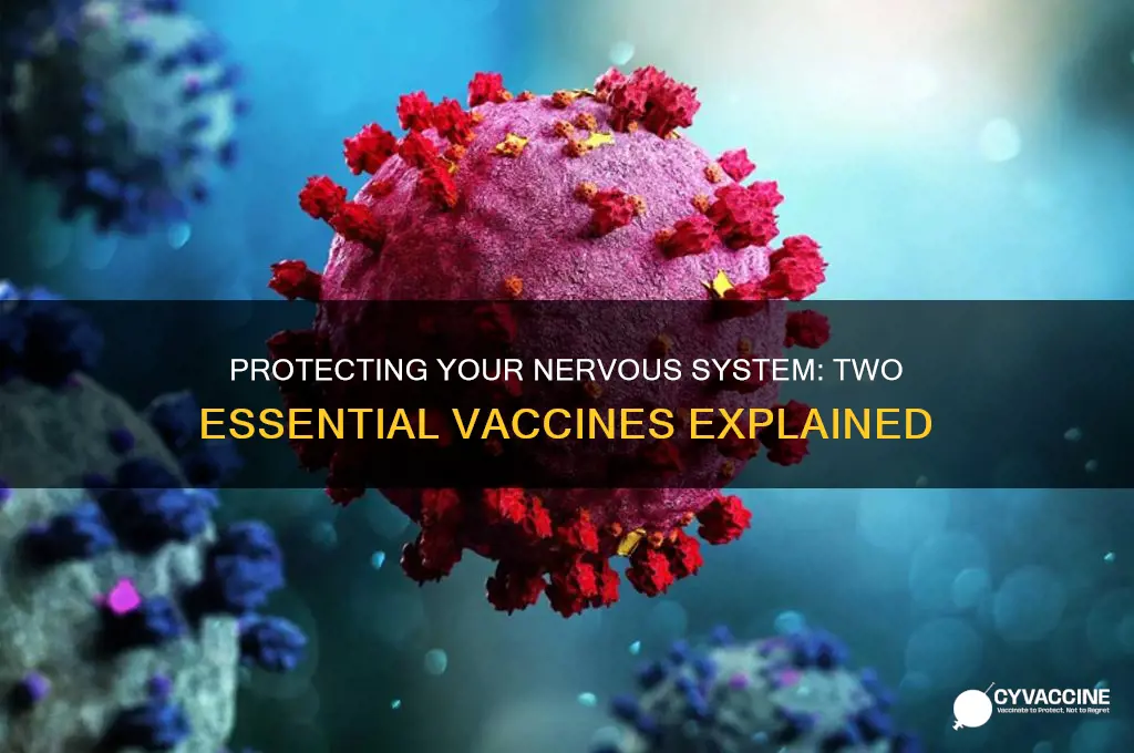what are 2 common vaccines for the nervous system