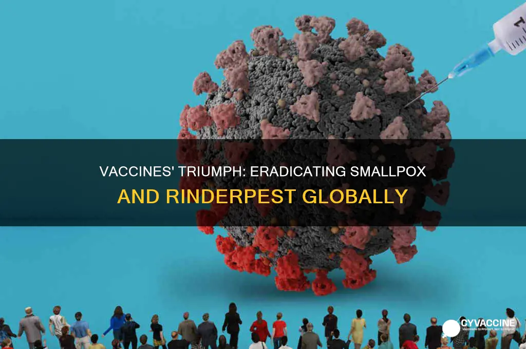 what are 2 diseases wiped out by vaccines