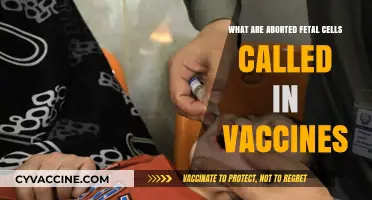 Aborted Fetal Cells in Vaccines: Understanding Their Role and Name