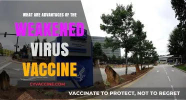 Weakened Virus Vaccines: Unlocking Safe, Effective, and Long-Lasting Immunity