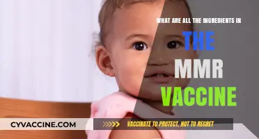 MMR Vaccine Ingredients: A Detailed Breakdown of Its Components
