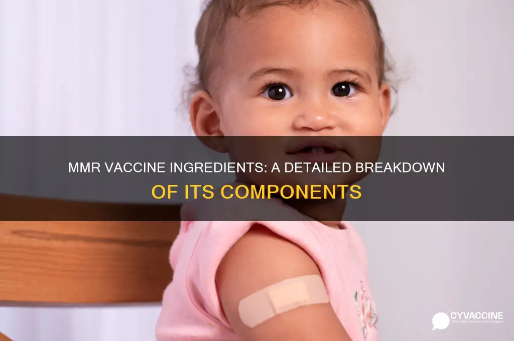what are all the ingredients in the mmr vaccine