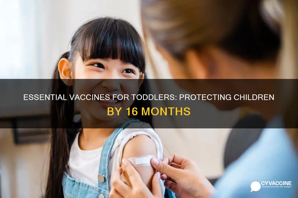 what are children vaccinated against by 16 months