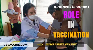 Cultural Influences Shaping Vaccination Decisions and Community Health Outcomes