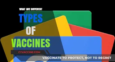 Exploring the Diverse World of Vaccines: Types and Functions