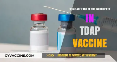 Understanding the Tdap Vaccine: A Breakdown of Its Key Ingredients