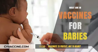 Understanding Baby Vaccines: Ingredients, Safety, and Benefits Explained