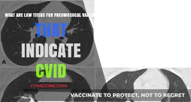 Low Pneumococcal Vaccine Titers: A Potential Indicator of CVID