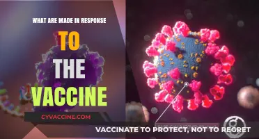 Understanding Vaccine Responses: What Are Made in Response to Vaccines?