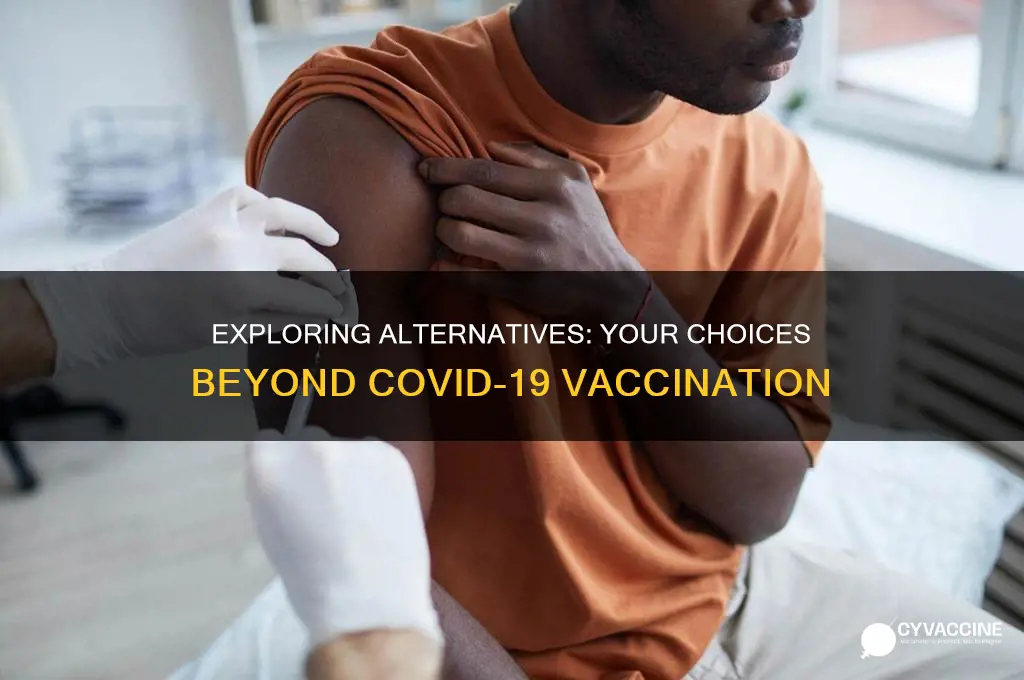 what are my options if i don