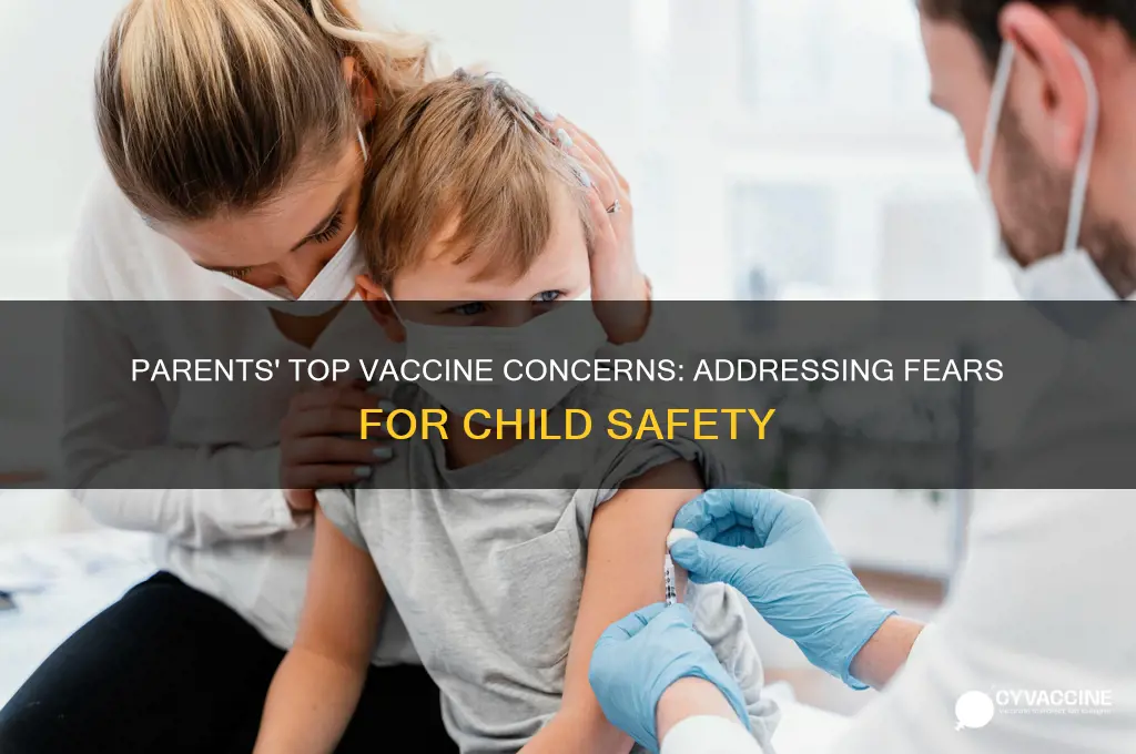 what are parents main fears while vaccinating there children