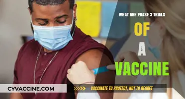 Understanding Phase 3 Trials: The Final Step in Vaccine Development