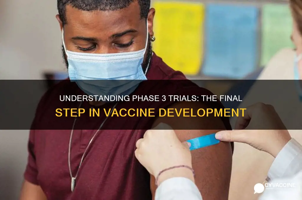 what are phase 3 trials of a vaccine
