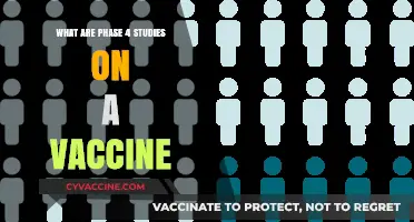 Understanding Phase 4 Vaccine Studies: Post-Approval Safety and Efficacy Monitoring