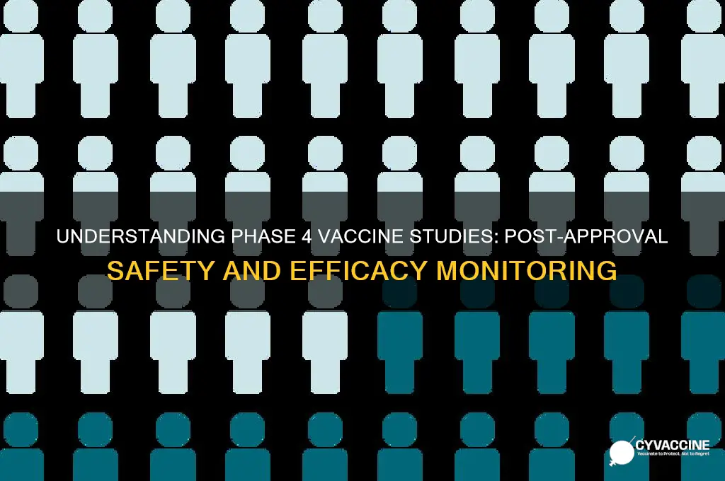 what are phase 4 studies on a vaccine