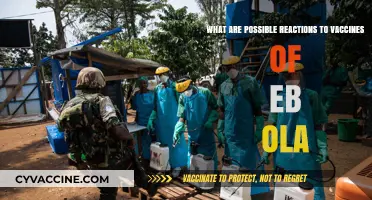 Understanding Ebola Vaccine Reactions: Potential Side Effects and Responses