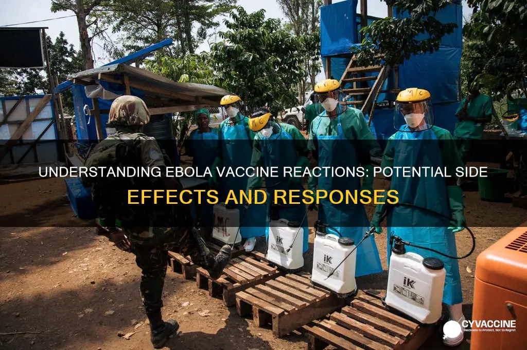 what are possible reactions to vaccines of eb ola