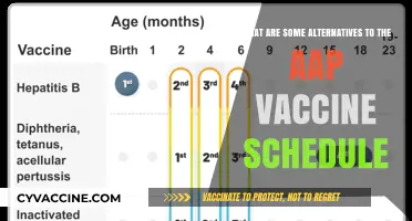 Exploring Safe and Effective Alternatives to the AAP Vaccine Schedule