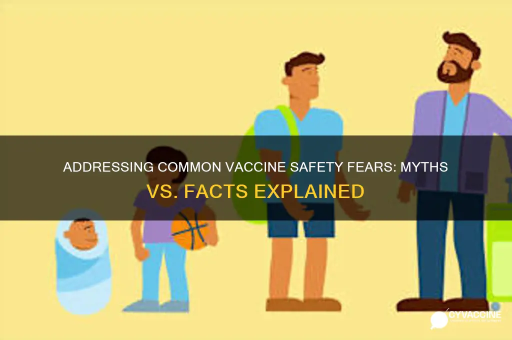 what are some common fears about the safety of vaccines