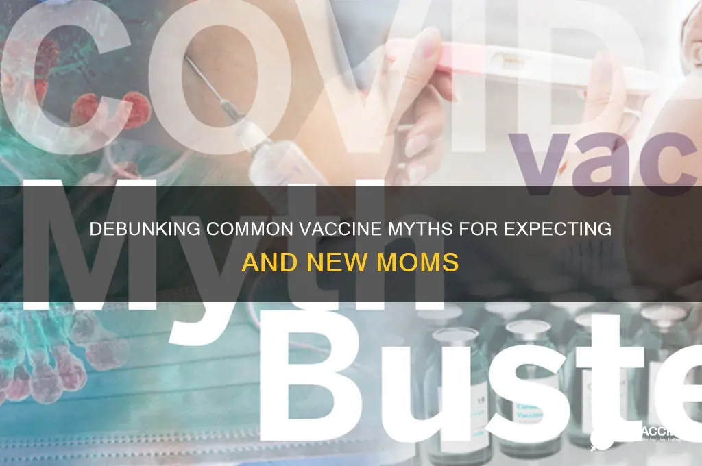 what are some common vaccine myths in maternity