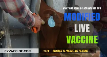 Modified Live Vaccines: Potential Risks and Drawbacks Explained
