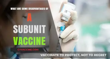 Subunit Vaccines: Potential Drawbacks and Limitations Explained
