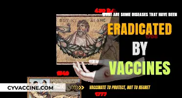 Vaccine Victories: Diseases Eradicated Through Immunization Success Stories