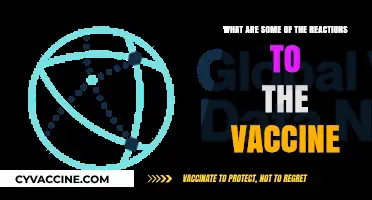 Vaccine Reactions: Understanding Public Responses and Concerns Worldwide