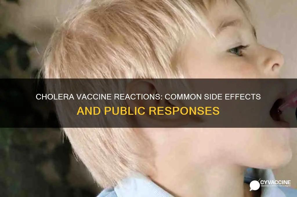 what are some reactions to the cholera vaccine
