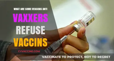 Why Anti-Vaxxers Reject Vaccines: Unraveling Their Core Concerns and Beliefs