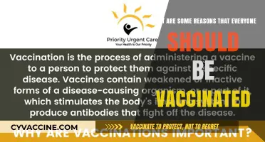 Why Vaccination is Essential for Everyone's Health and Safety