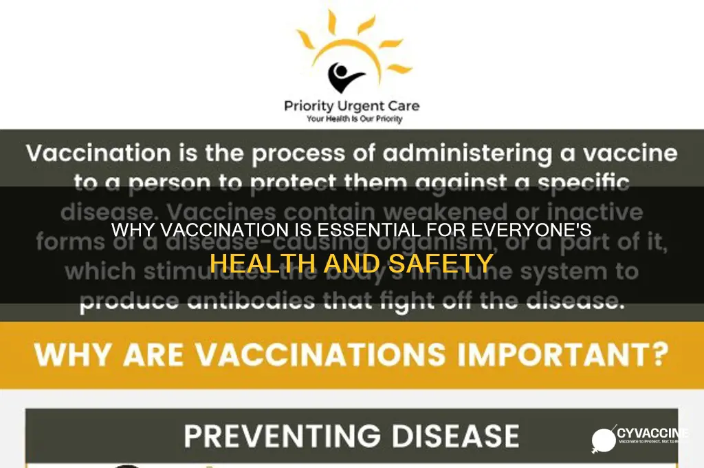what are some reasons that everyone should be vaccinated