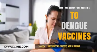Public Reactions to Dengue Vaccines: Concerns, Acceptance, and Global Perspectives