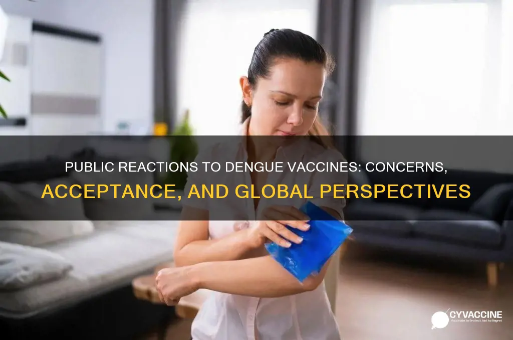 what are someof the reactins to dengue vaccines