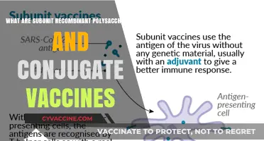 Understanding Subunit, Recombinant Polysaccharide, and Conjugate Vaccines