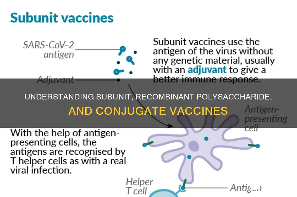 what are subunit recombinant polysaccharide and conjugate vaccines