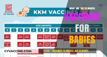 Essential Baby Vaccines: A 12-Month Immunization Schedule Guide