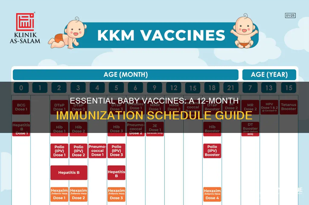 what are the 12 month vaccines for babies