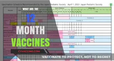 Essential Vaccines for Infants: A 12-Month Immunization Guide