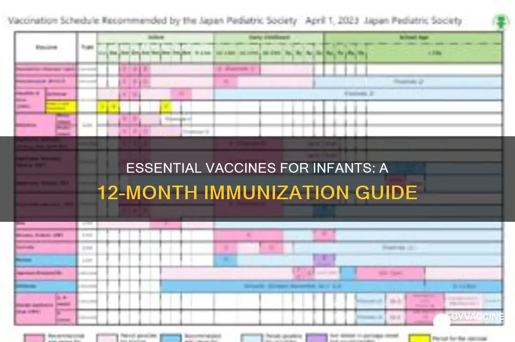what are the 12 month vaccines