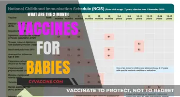 Essential 2-Month Baby Vaccines: Protecting Your Little One Early