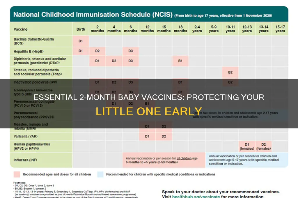 what are the 2 month vaccines for babies