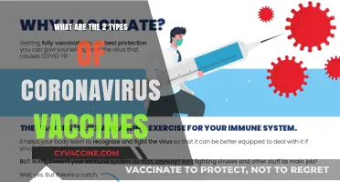 Understanding the Two Main Types of Coronavirus Vaccines Available