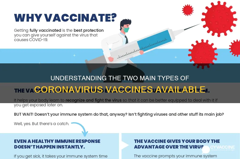 what are the 2 types of coronavirus vaccines
